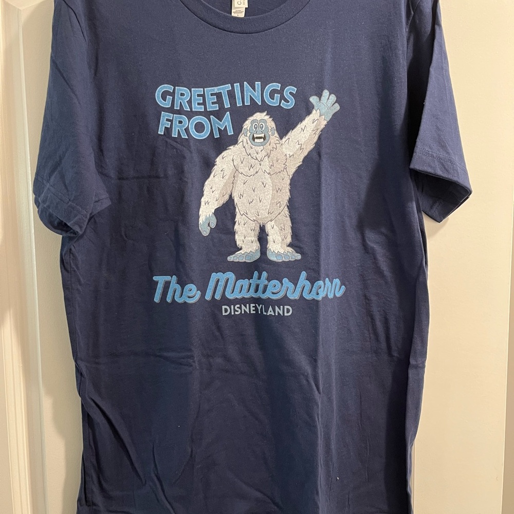 UNISEX Bella Canvas Disneyland Matterhorn Graphic T-Shirt size Large
